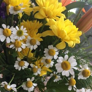 Meet your Posher, Sienna